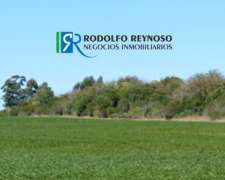 50 HA. en Colonia Elía (entre Ríos)
