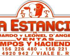 800 Has Agrícolas en Villaguay con Mejoras