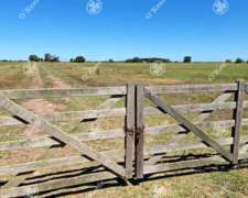 Campo Mixto en Venta 90 Has en Ranchos, con Buen Acceso