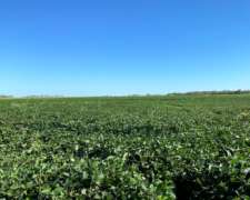 400 Has Agricolas en Quimili