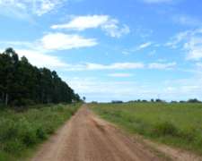 24 Hectáreas San Salvador