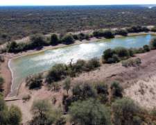 Campo Ganadero - Departamento Facundo Quiroga - la Rioja