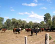 4.000 Ha Estancia en Urutau Sobre Ruta