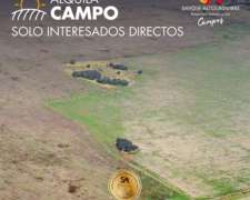 Alquila: Campo Agrícola de 1000 Ha en “EL Tala” la Pampa
