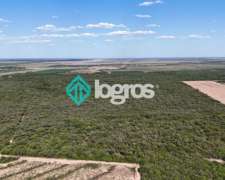 Campo en Venta de 385 Ha en Joaquín V. González, Salta