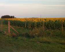 Gran Oportunidad en Lobería