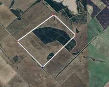 196 Hectareas Ganaderas, Monte de Secano, Zona Semiarida