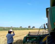 Vendo 300 Hect Agricolas en del Valle
