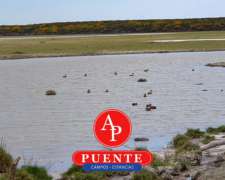 En Venta 12.500 HA. Puelén, la Pampa.