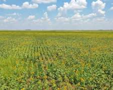 Pcia. de Buenos Aires - Cañada Seca 844 Has