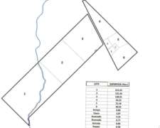 600 Has. Mixtas las Flores