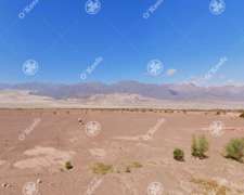 Campo 732 Has en Venta Fiambala, Catamarca