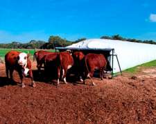 Comedero Autoconsumo para Silo Bolsa con Divisores (sin Iva)