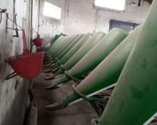 Maicero Ombu de 16 Surcos Impecable