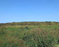 350 Has Agrícolas Ganaderas