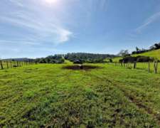 Bernardo De Irigoyen, Belgrano, Misiones - 1.801 Ha
