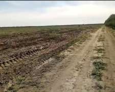 Guanaco Muerto, Cruz del Eje, Cordoba - 500 Ha