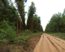 Villa Olivari - 308 Ha - Corrientes