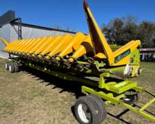 Allochis 16 a 52 año 2019