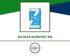 Semilla De Alfalfa Alphatec 921