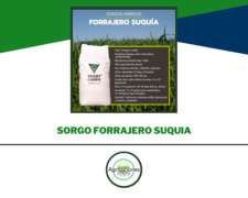 Semilla de Sorgo Forrajero Suquia