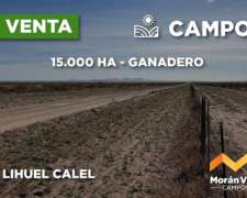 15.000 Ha Ganaderas en Lihuel Calel