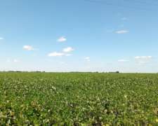 Venta 40 Ha en Monte Cristo