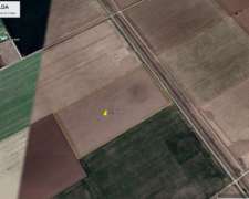 Campo 100 % Agricola - Casilda