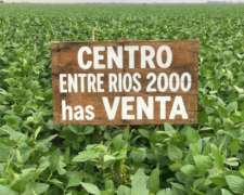 Ea 2500 Has .venta Agricolas Ruta 12
