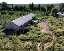 Bodega y Finca en Venta Capdevilla, las Heras.