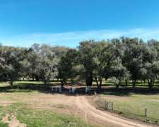 3780 Has. Campo Mixto S/ Ruta en Alpachiri, la Pampa