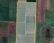 Se Venden 43 Ha Agricolas en Lopez