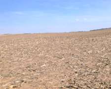 Vendo SA Agricola Ganadera Tranquera Cerrada