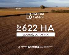 Campo 622 Hectáreas - Quehué la Pampa