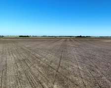 60 Ha Alem, Prov. de Buenos Aires