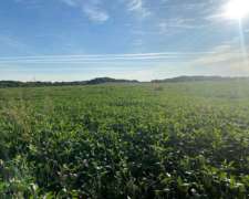 Vendo 50 Hectáreas de Campo 7000 Usd/ha