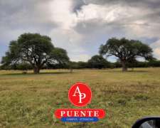 En Venta 750 HA. Chamaicó, la Pampa