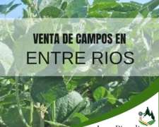 En Venta 180 Has Mixtas Gualeguaychu
