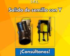 Salida De Semilla Con Y