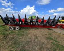 Maicero Mainero 2008 de 10 a 70