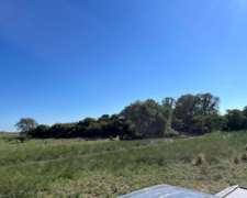 Establecimiento 2580 Ha Venta