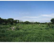 Chamical (LA Rioja) 5.000 Has Armadas S/ Asfalto