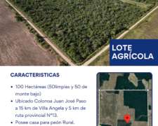 Campo - Lote de 100 Hectáreas en Zona Villa Ángela Chaco