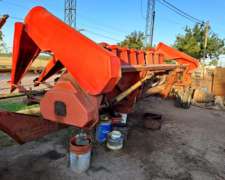 Maicero de Grande 10 a 52. año 2005.