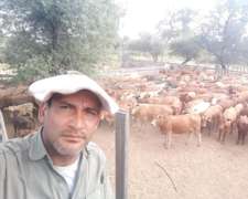 Encargado Gral de Campo