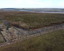 Salvador Maria, Lobos (bs. As.): 130 HA. Contra el Salado