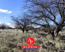 4.000 HA. Abramo, la Pampa