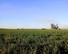 122 Ha Mixto - Felicia