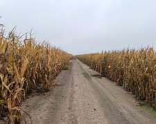 1000 Ha Agrícolas en Otumpa. Santiago del Estero.