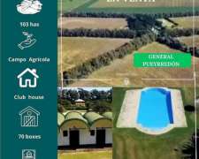 Campo en General Pueyrredon 103 Has